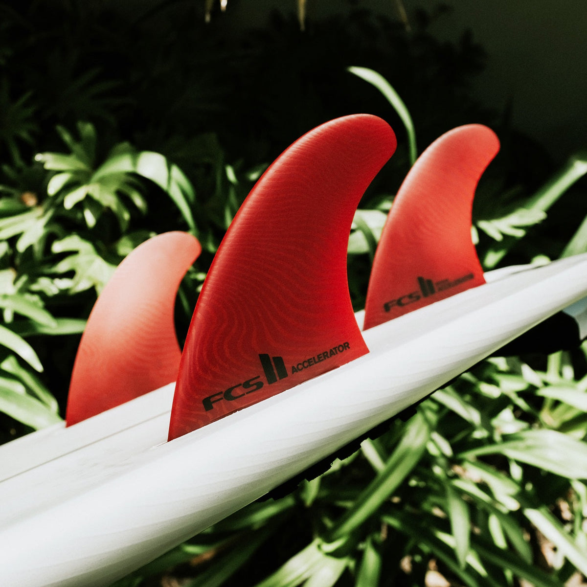 FCS II Accelerator Neo Glass Eco Tri Fins - Softech Europe