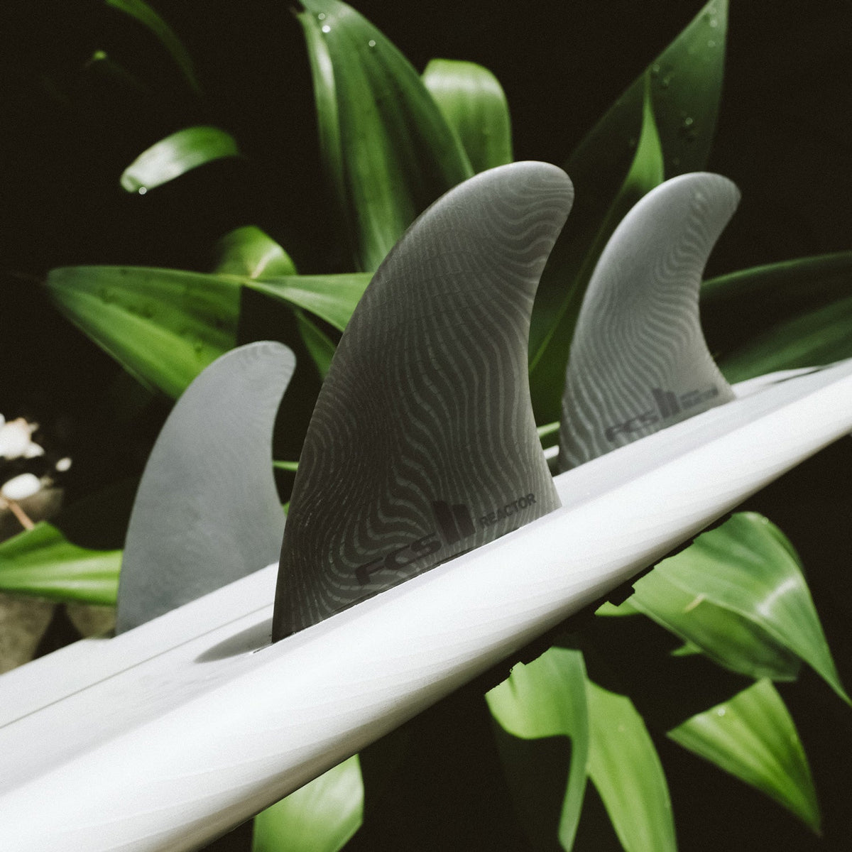 Reactor fcs on sale 2 fins